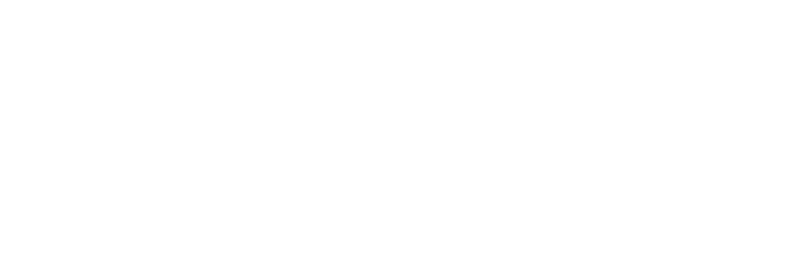 Akamai Media LLC